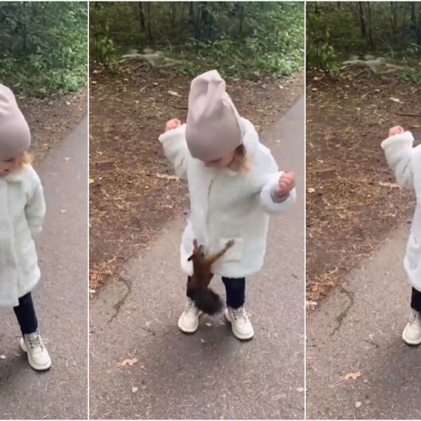 Најслаткото ВИДЕО за добро утро: Погледнете како верверичката јадеше од рачето на девојчето