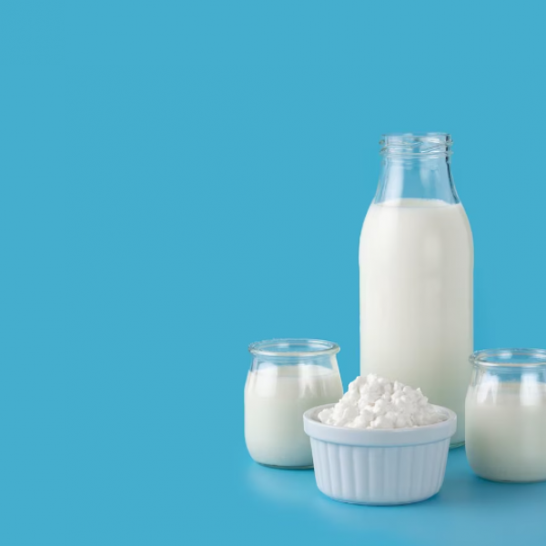 Зошто е важен млечниот протеин за нашето тело: Која доза е доволна во текот на еден ден?
