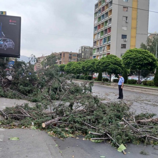 Дрво падна врз жена во Скопје: Пожарникари и брза помош на терен